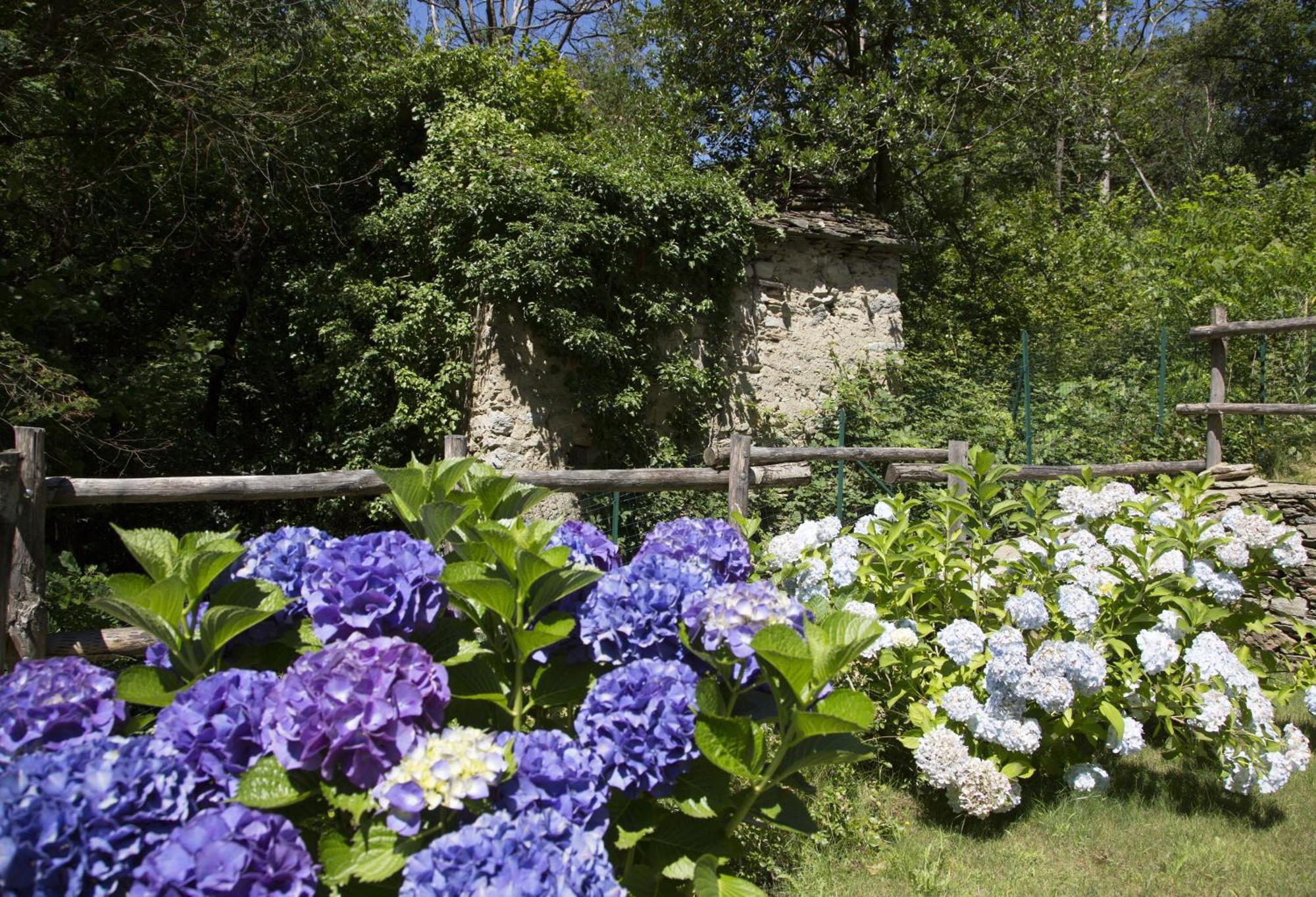 Agriturismo Rossolampone San Bernardino Verbano Pokój zdjęcie